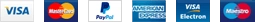 Visa, Mastercard, PayPal, American Express, Visa Electron and Maestro